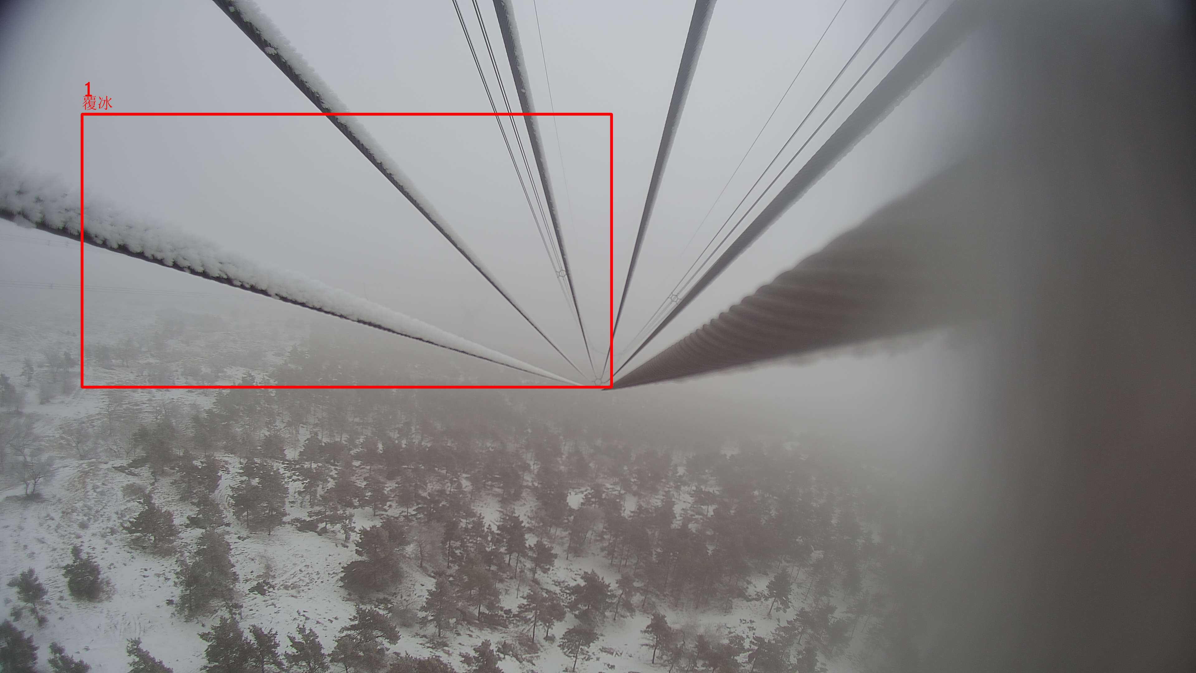 导线覆冰2.220722.jpg